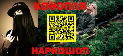 сатива Краснознаменск