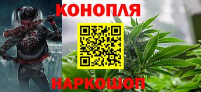 сатива Краснознаменск