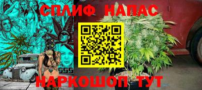 сатива Краснознаменск