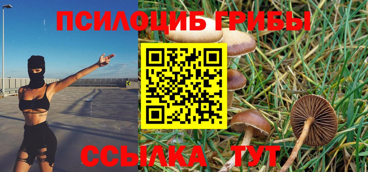 Галлюциногенные грибы мухоморы  Вход с VPN  купить  сайты  Туймазы 